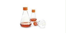 “ Erlenmeyer烧瓶（锥形瓶）”在化学中意味着什么？