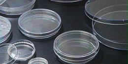 探索生命奥秘：细胞培养皿的重要性与应用