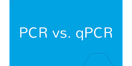 PCR板和qPCR板的区别